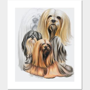 Lhasa Apso Medley Posters and Art